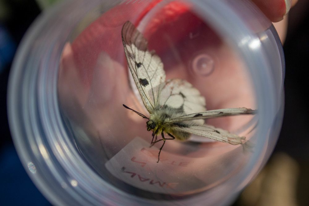 Photograph by Екатерина