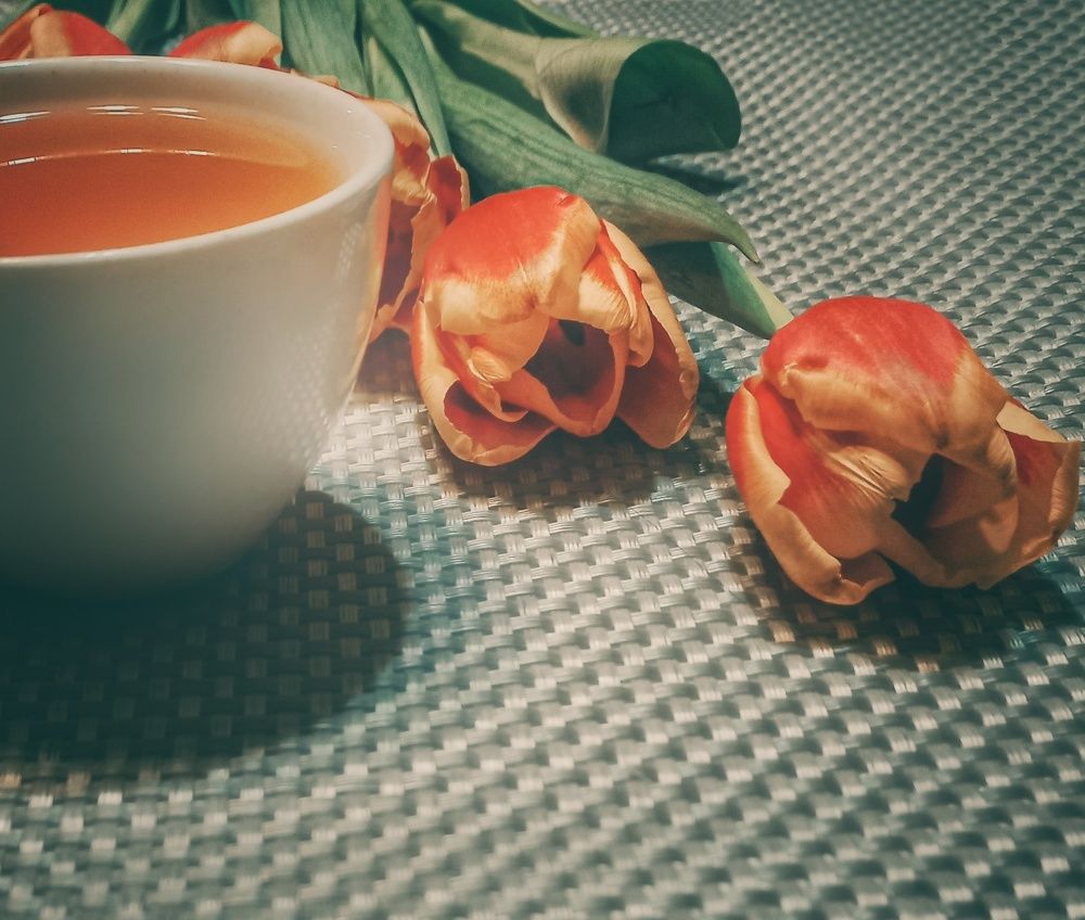 Photograph by Ольга Бородина