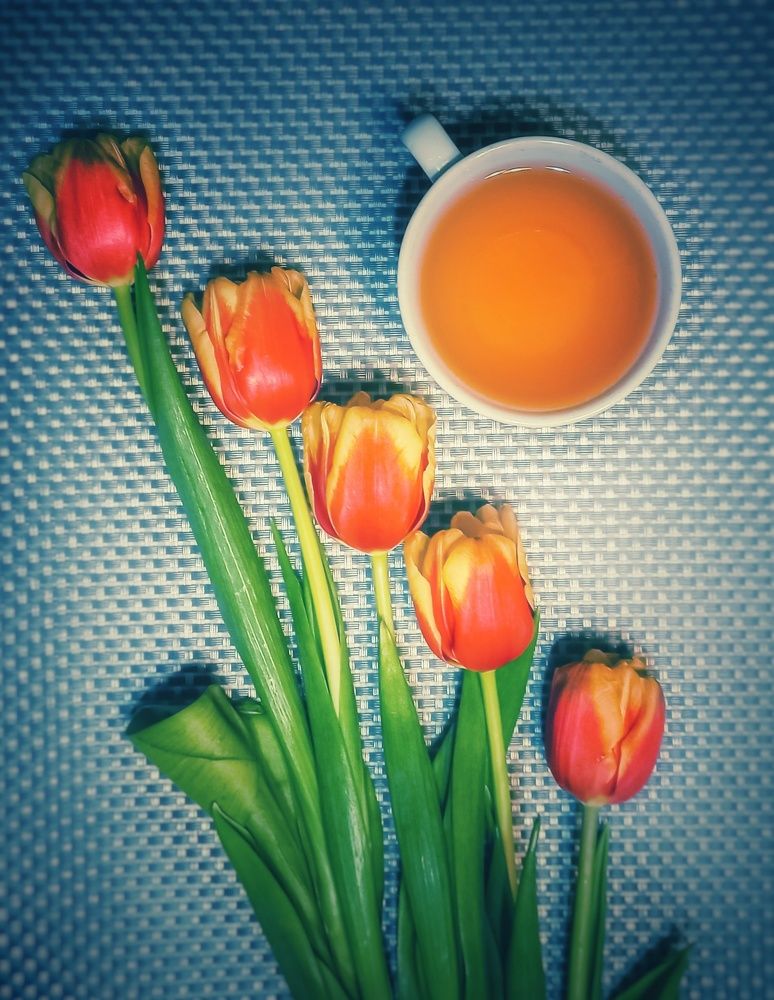 Photograph by Ольга Бородина