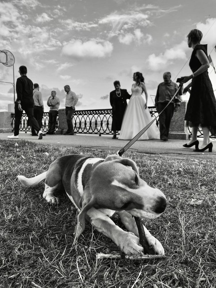 Photograph by Елена Большакова