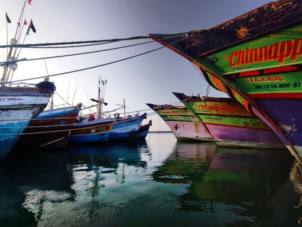 Photograph by Buddhika Dinuranga