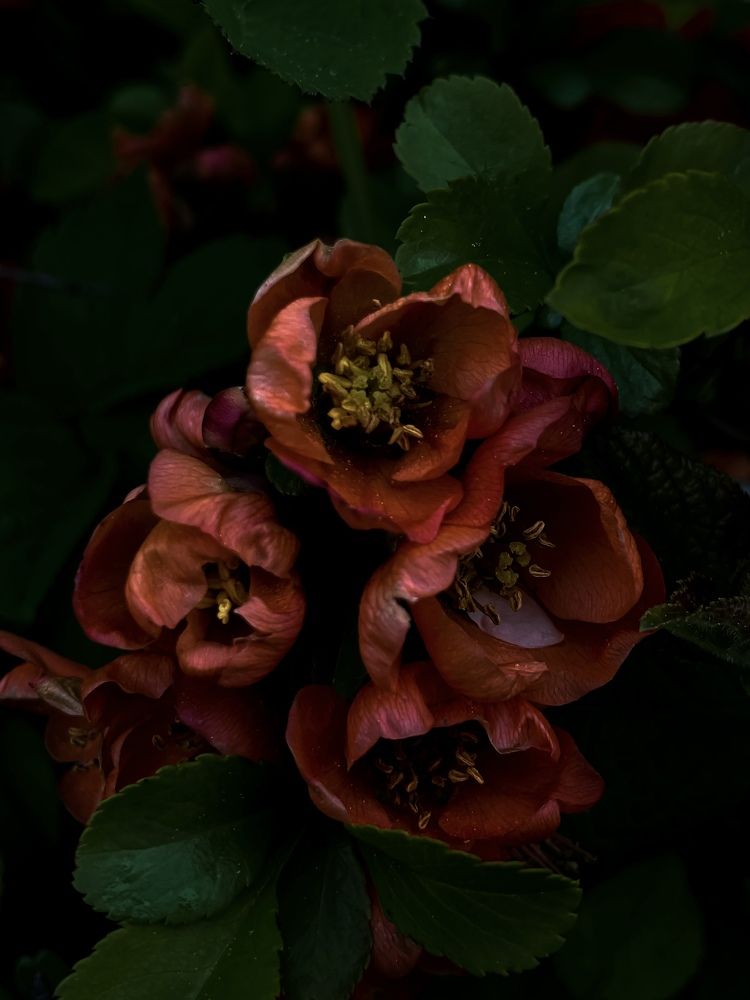 Photograph by Алла Творогова