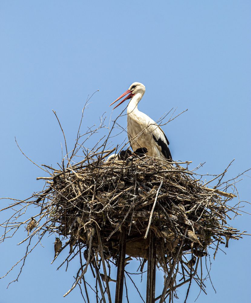 Photograph by Adelina Truhcheva