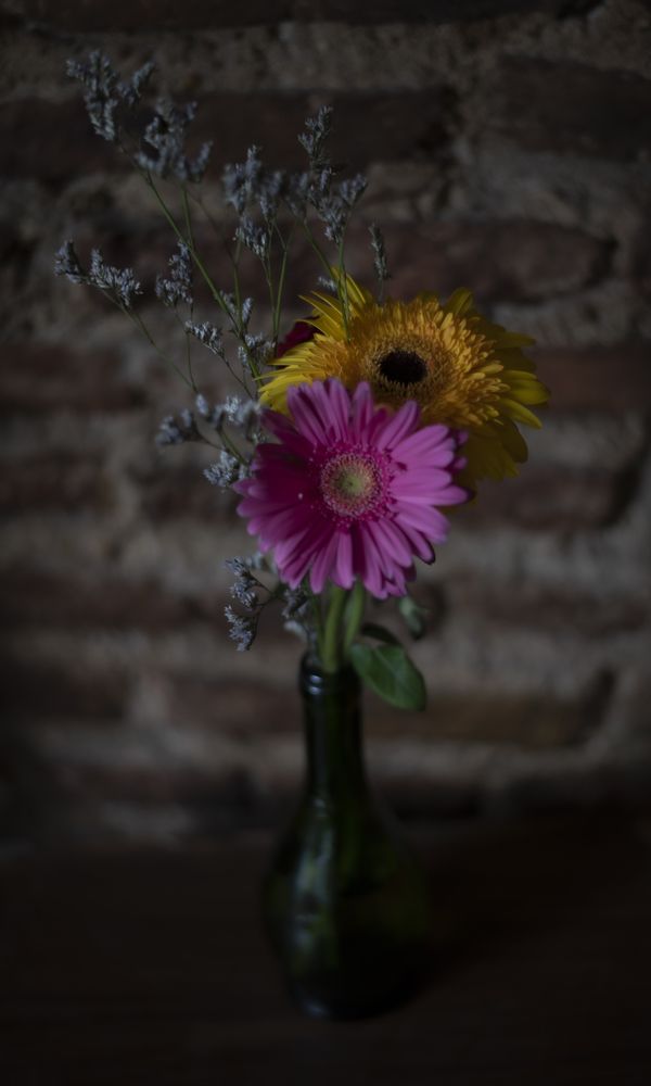 Photograph by alejandra wanuffelen
