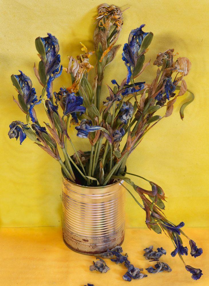 Photograph by Ольга Шибяева