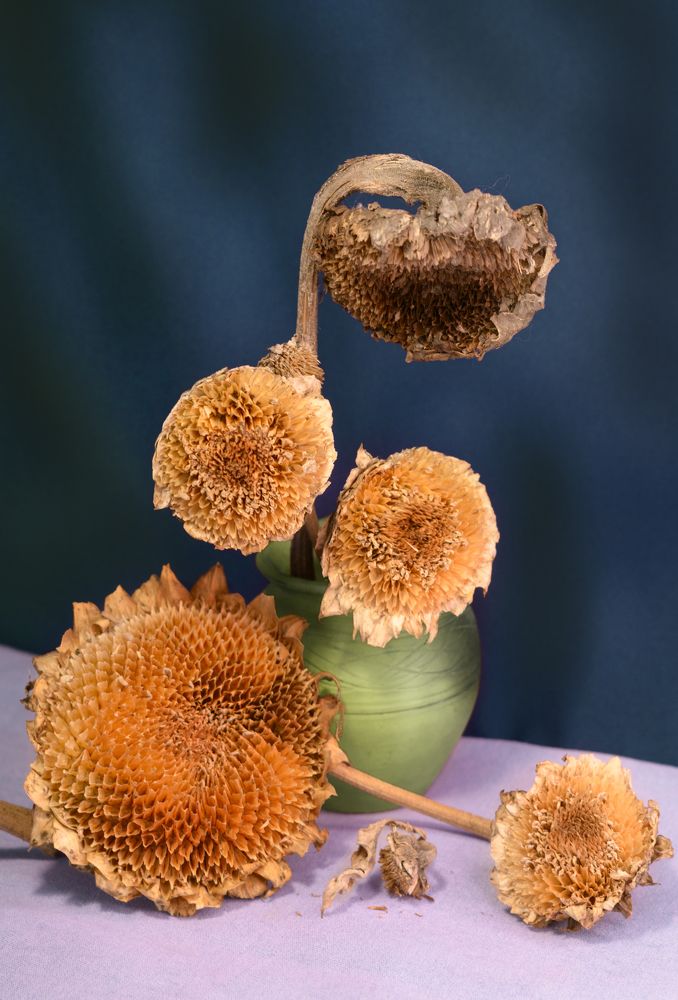 Photograph by Ольга Шибяева