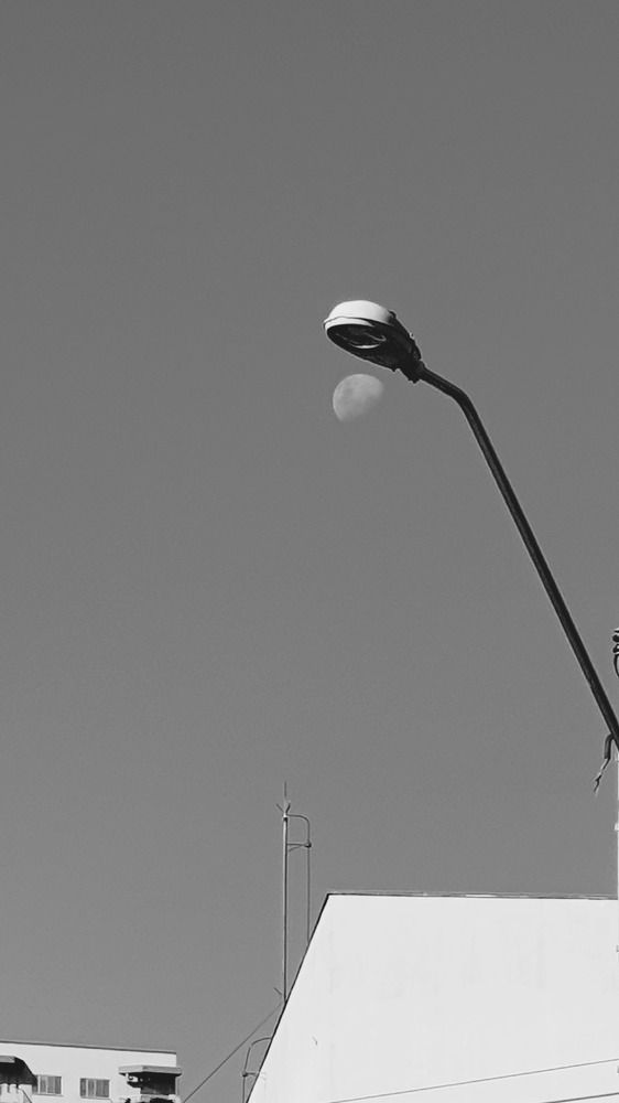 Photograph by Dâmaris Ferrão