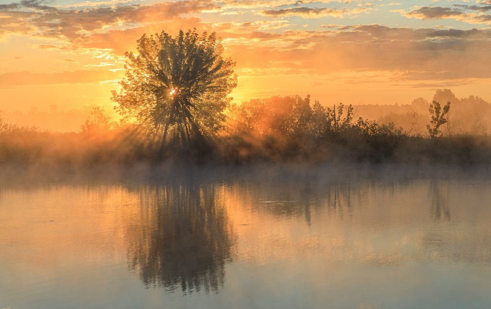 Photograph by Евгений Патрешов