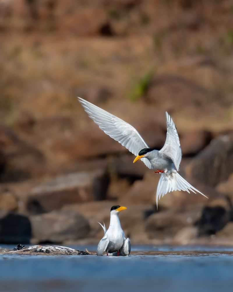 Photograph by Shyam Hirurkar