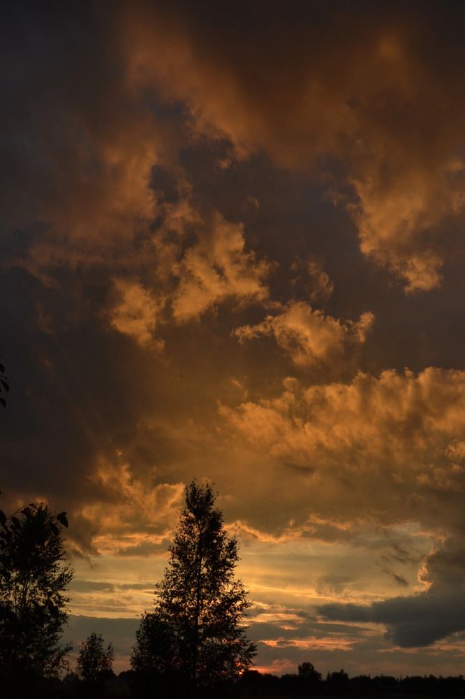 Photograph by Елизавета