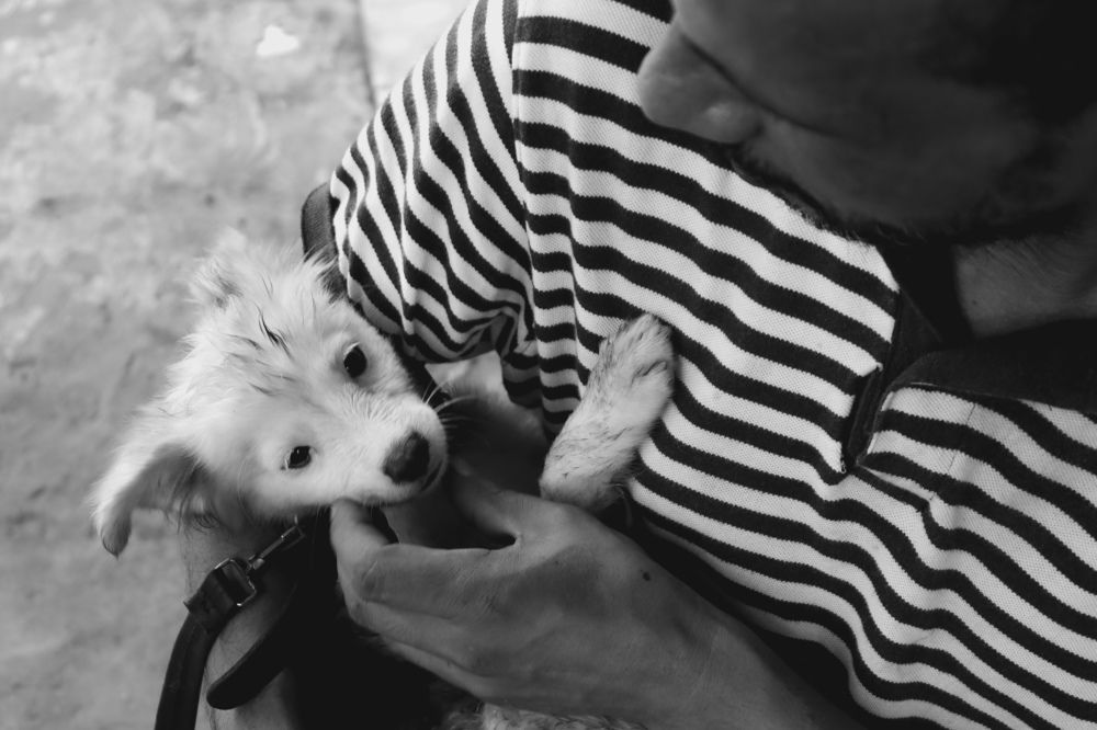 Photograph by Chainez