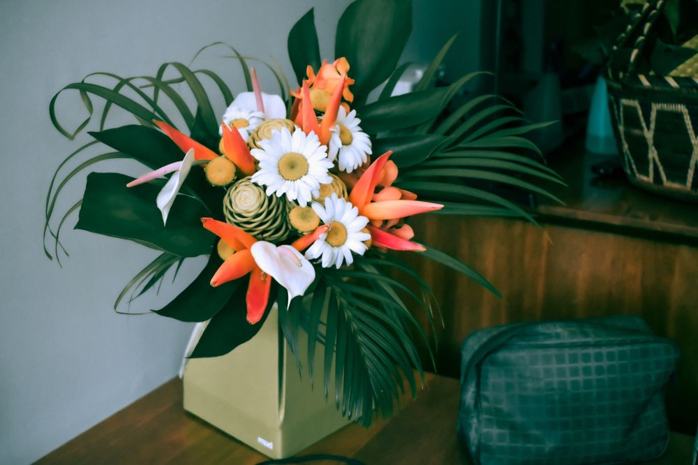 Photograph by Yannah Tekwie