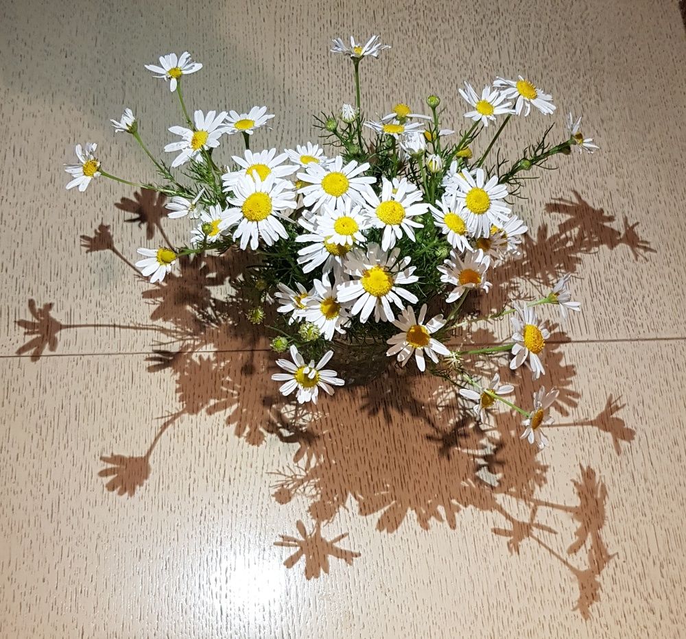 Photograph by Наталья Абилова