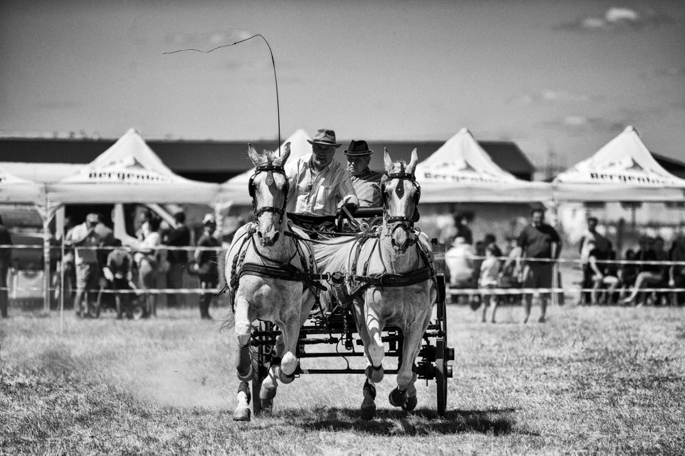 Photograph by Mihai Romeo Bogdan