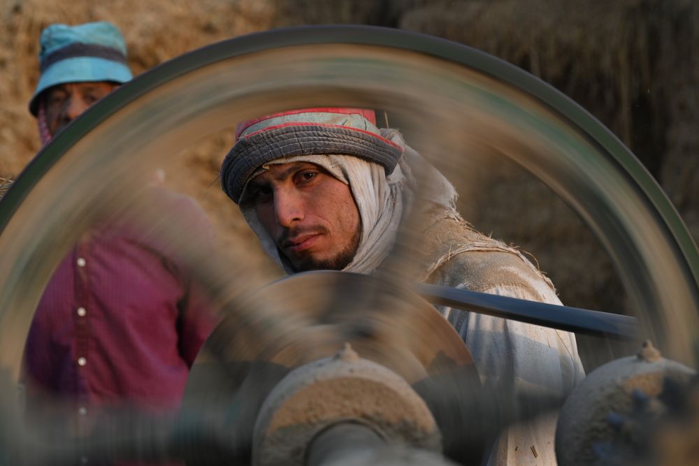 Photograph by loai zedan zedan