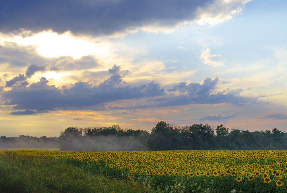 Photograph by Андрей Семенченко