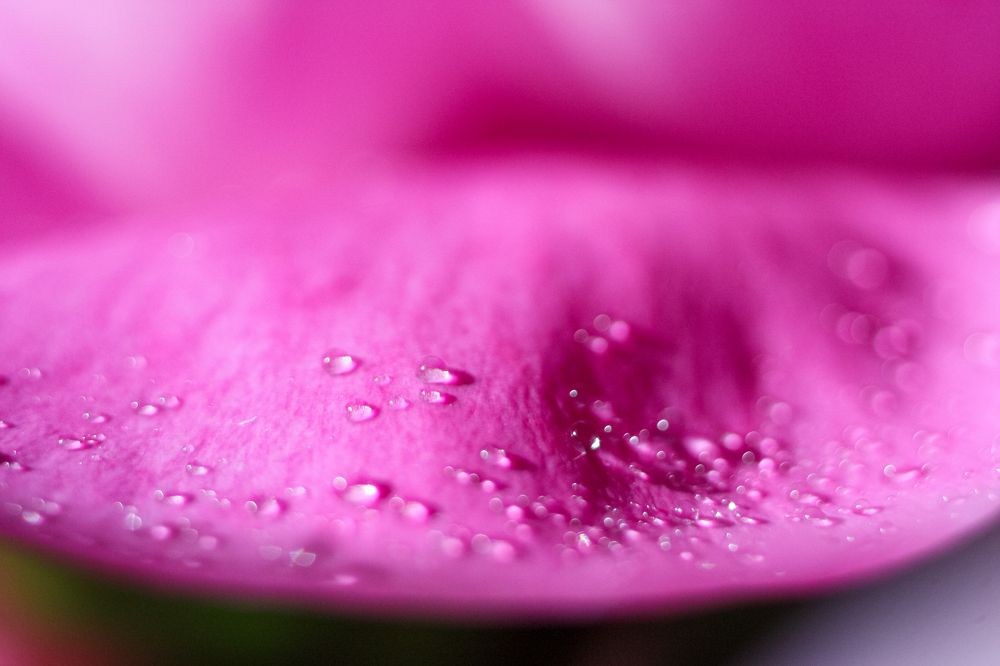 Photograph by Надежда