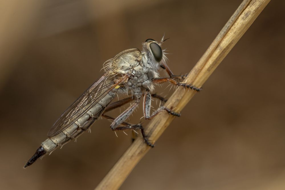 Фотография автора Nikolay Tatarchuk