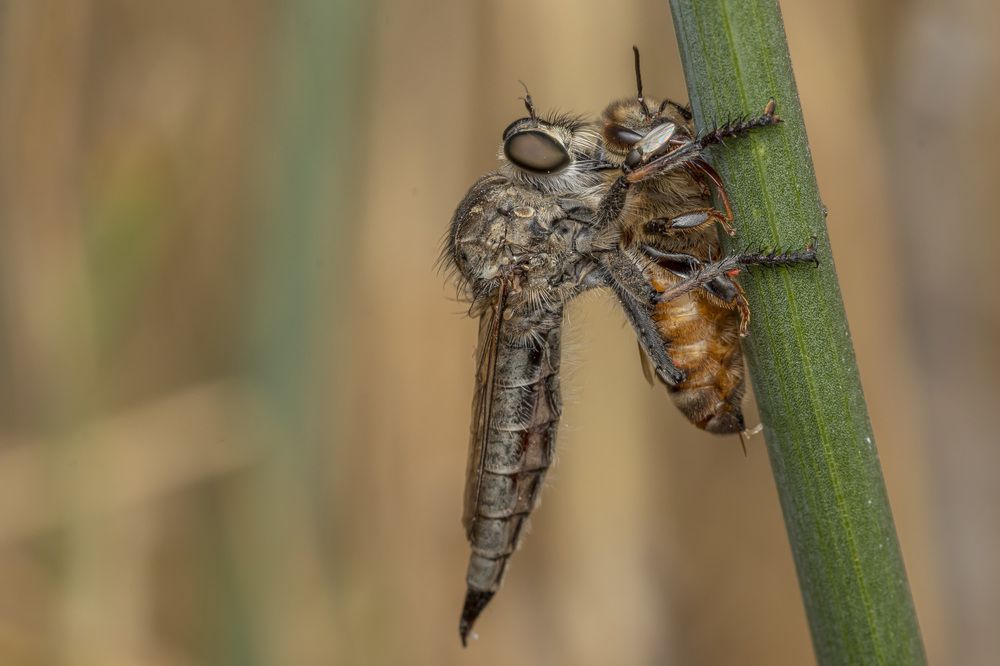 Фотография автора Nikolay Tatarchuk