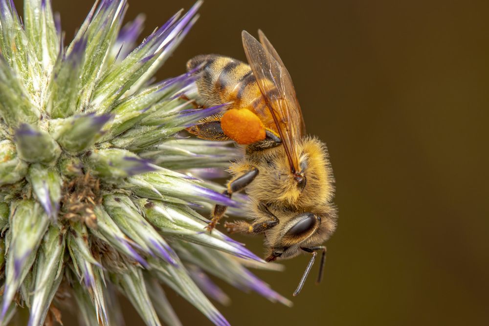 Фотография автора Nikolay Tatarchuk