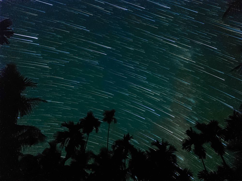 Photograph by Vaishnav K V