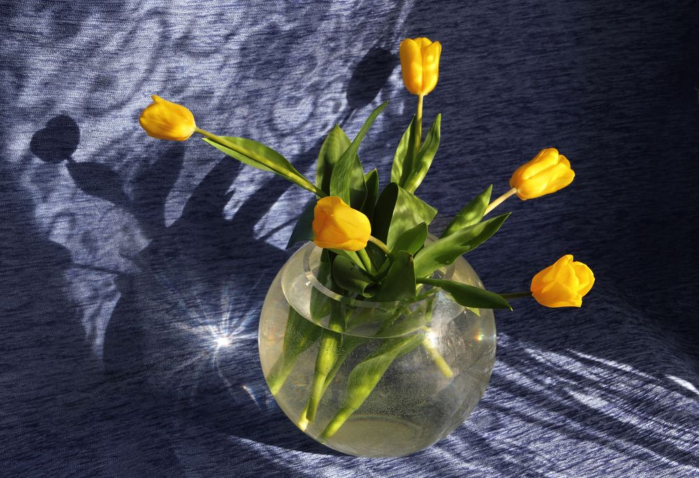 Фотография автора Кухта Мария