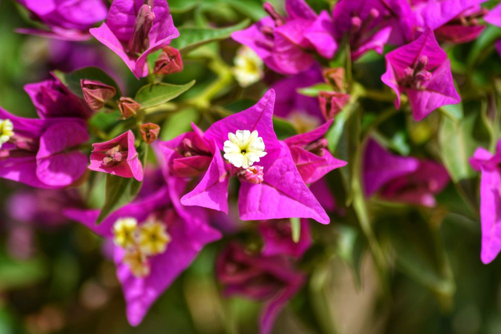 Photograph by Bachir Rabouh