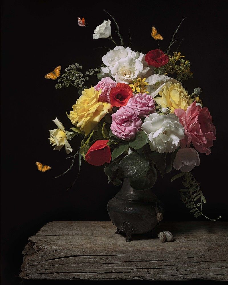 Photograph by Диана Трильо