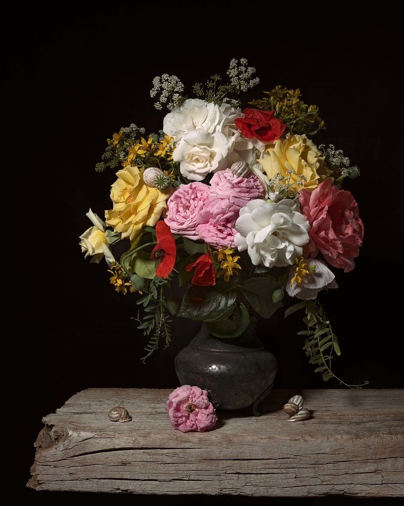 Photograph by Диана Трильо