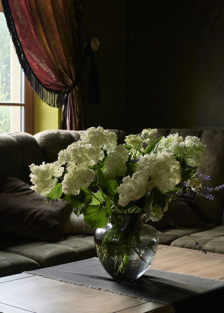 Photograph by Наталья Соловьева