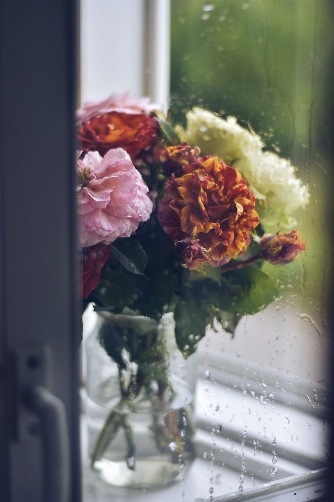 Photograph by Анна Корнеева