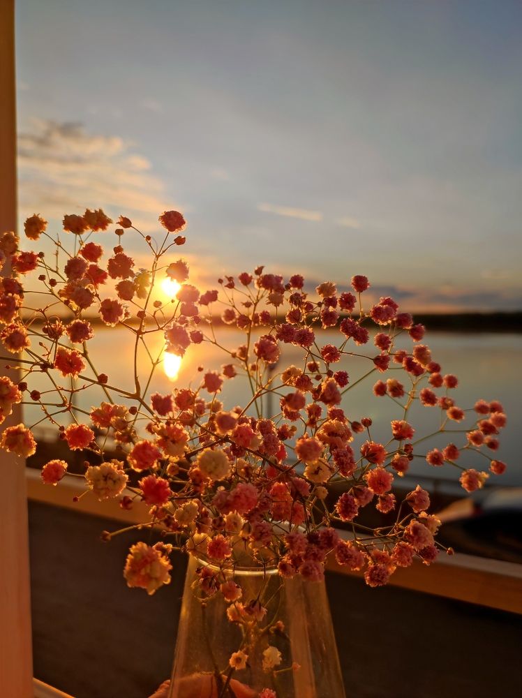 Photograph by Надежда