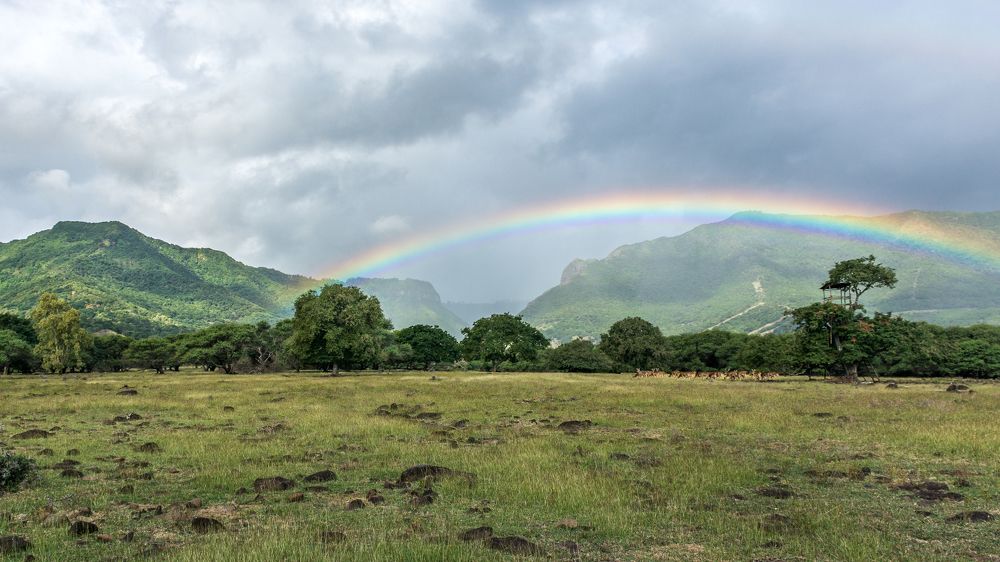 Photograph by Наталья Кокорина