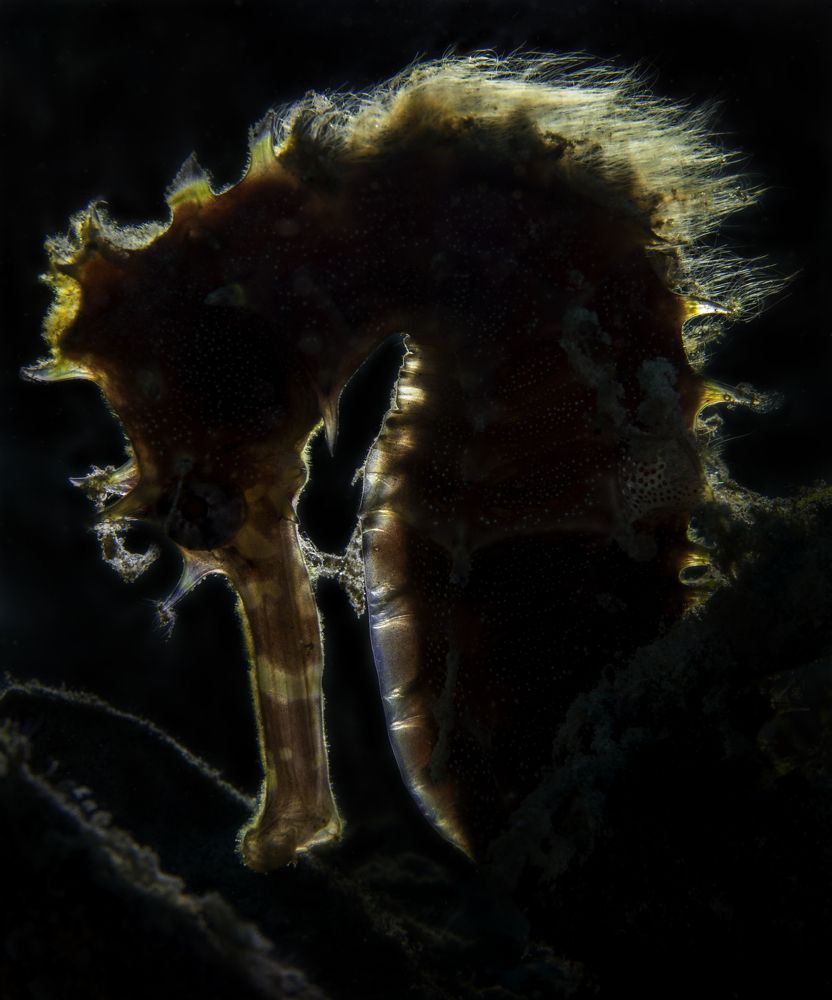 Photograph by Юрий Перевозников