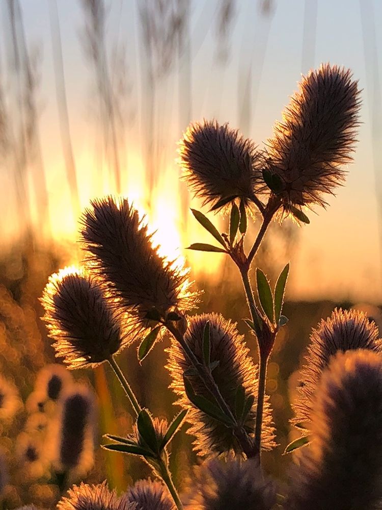 Photograph by Halina Mitsevich