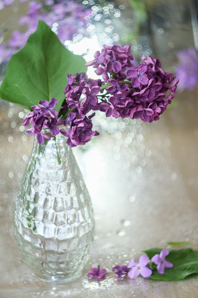 Photograph by Наталья Заровнева