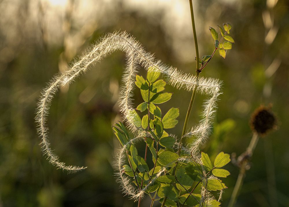 Photograph by Юрий Чернов