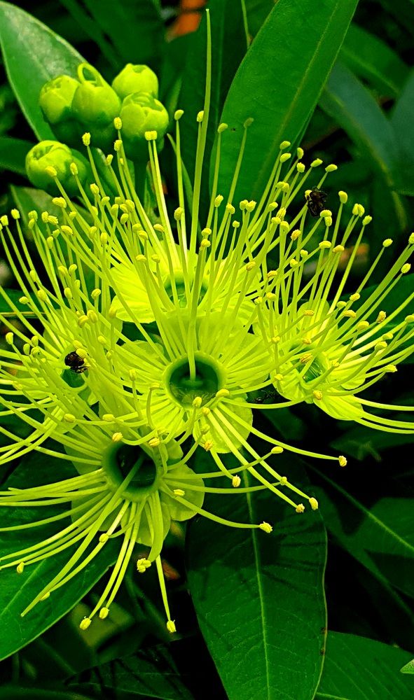 Photograph by Kuncoro PR