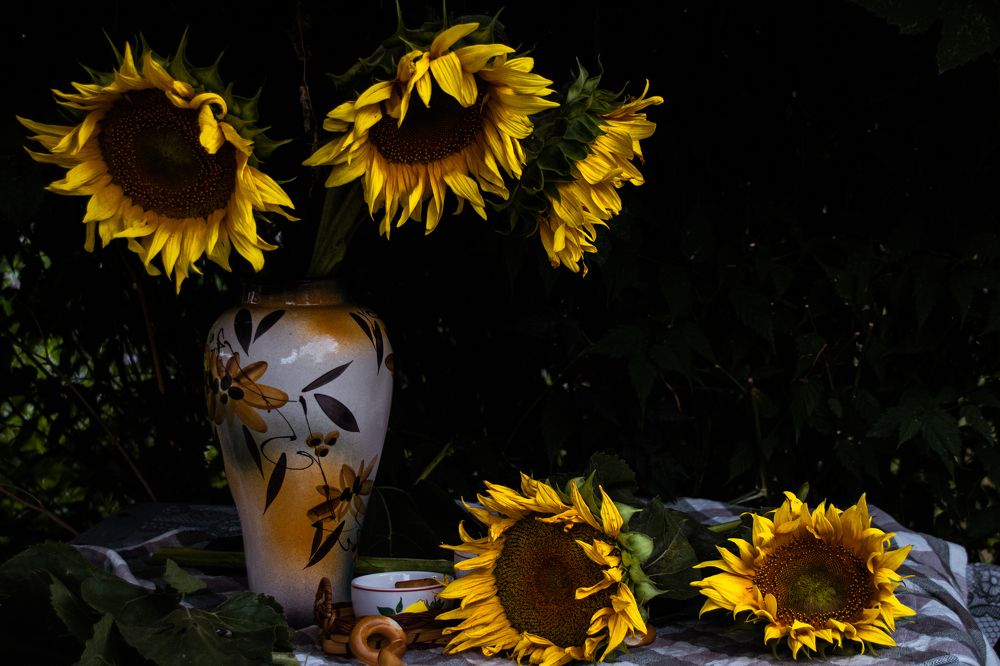 Фотография автора OXANA MARSOVA