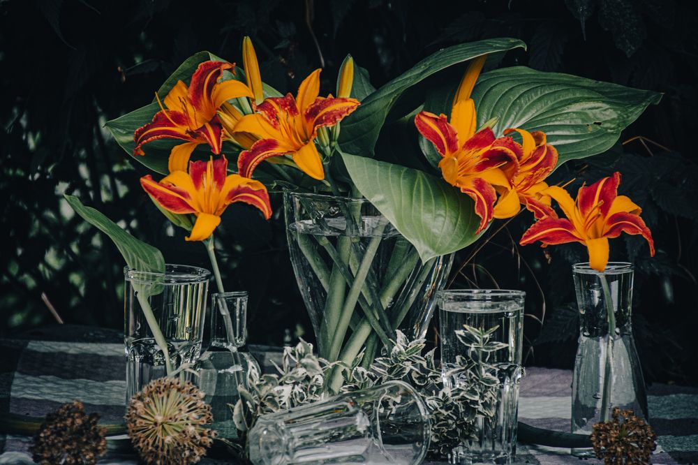 Фотография автора OXANA MARSOVA