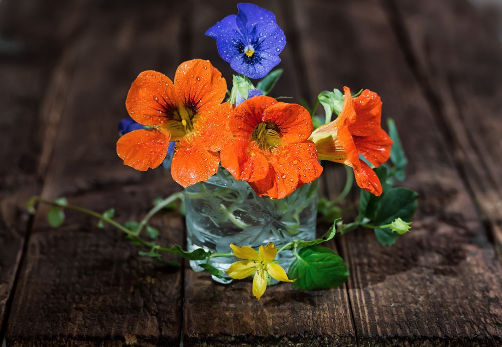 Photograph by Владимир Архипов