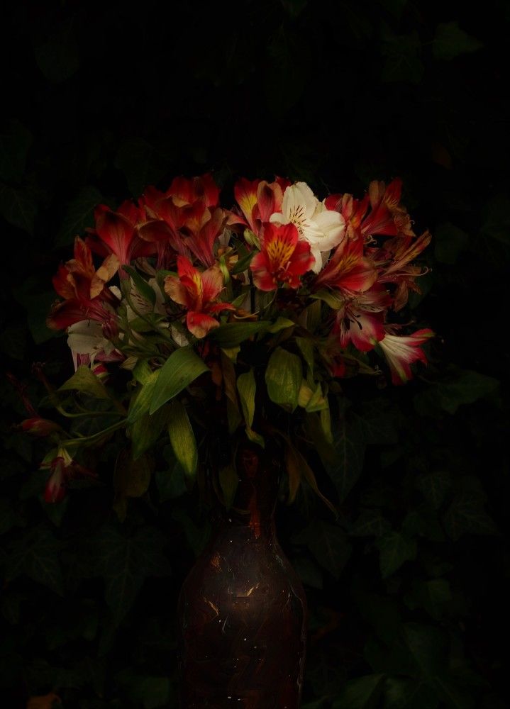 Photograph by Долгушева Татьяна