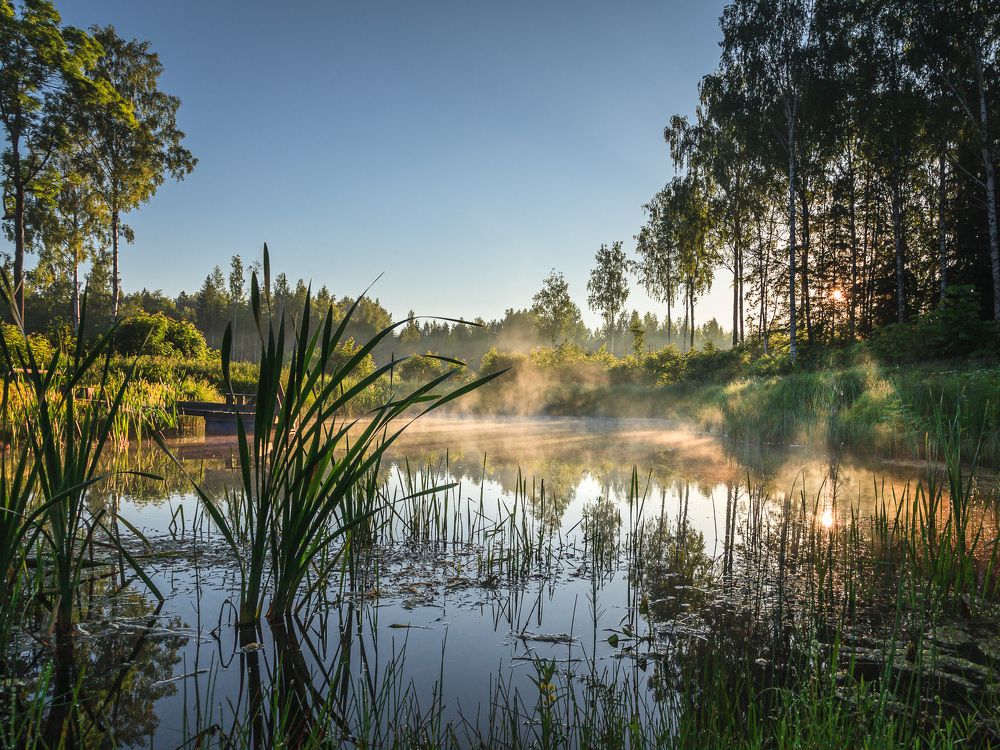 Photograph by валерий куропаткин