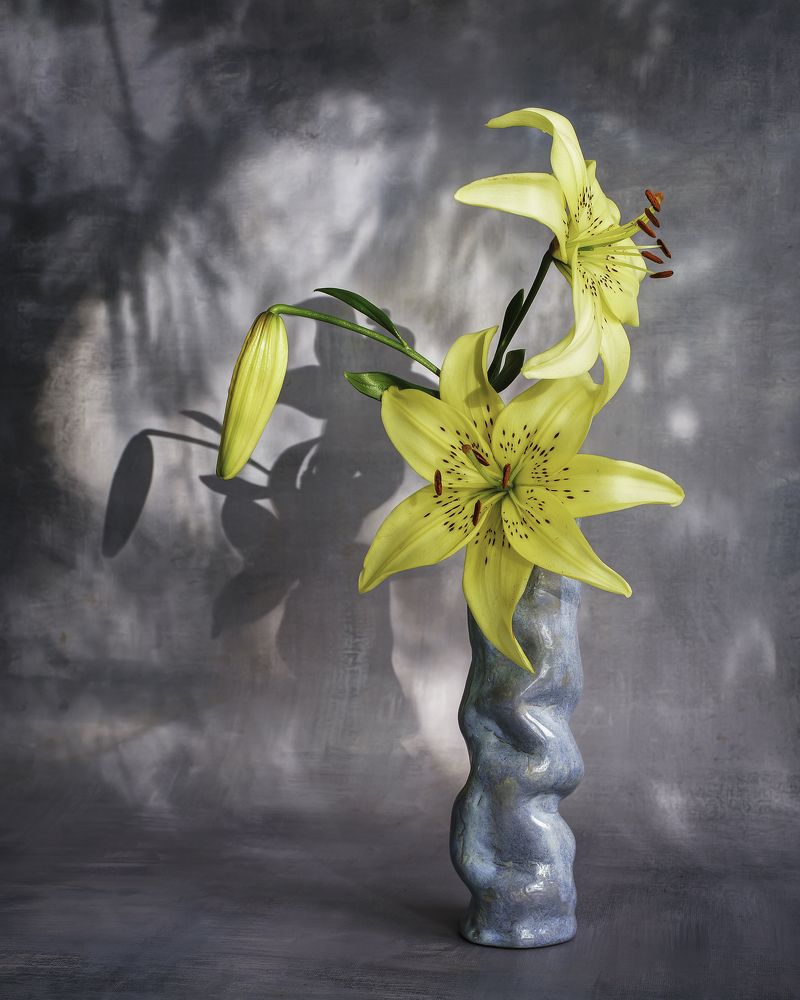 Photograph by Anna Sindikayeva