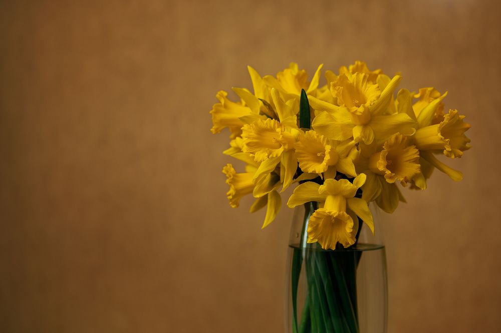 Photograph by Юлия Рябчук