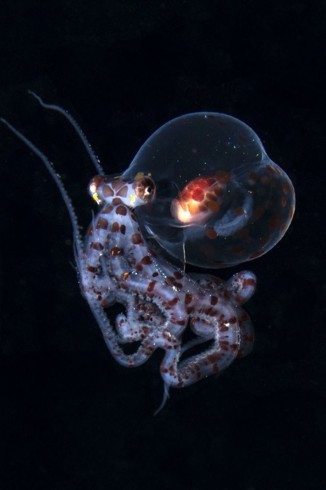 Photograph by Deniz muzaffer Gokmen