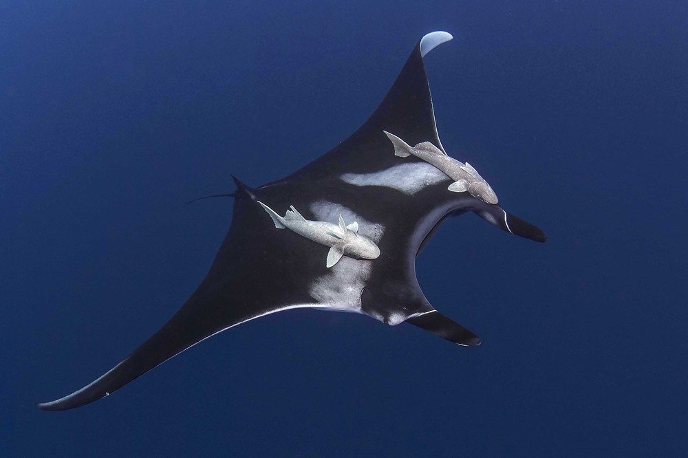 Photograph by Deniz muzaffer Gokmen