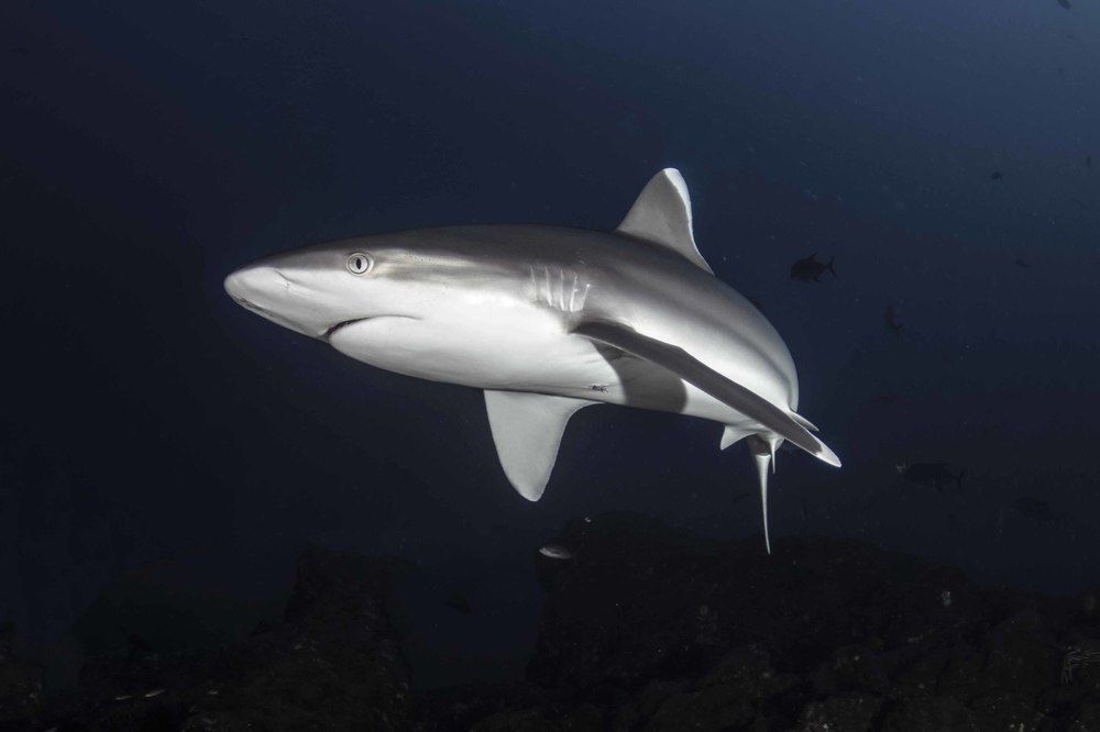 Photograph by Deniz muzaffer Gokmen