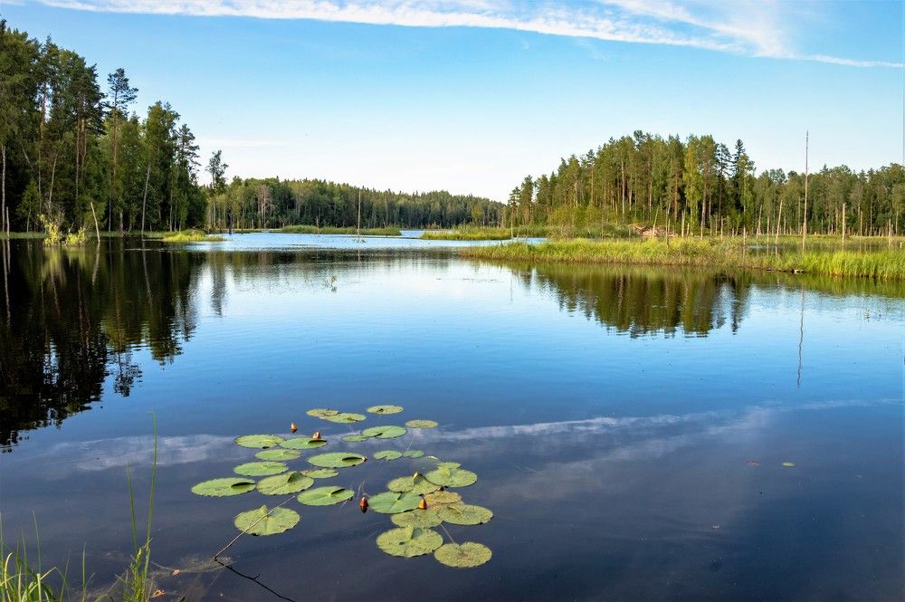 Photograph by Олег Менакер