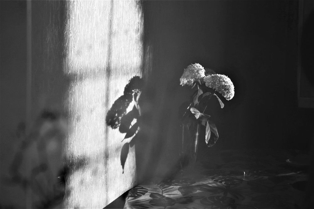 Photograph by Олеся Буланова